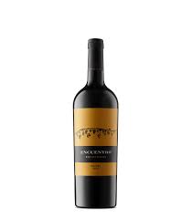 Encuentro 2021 Malbec ( Rutini)