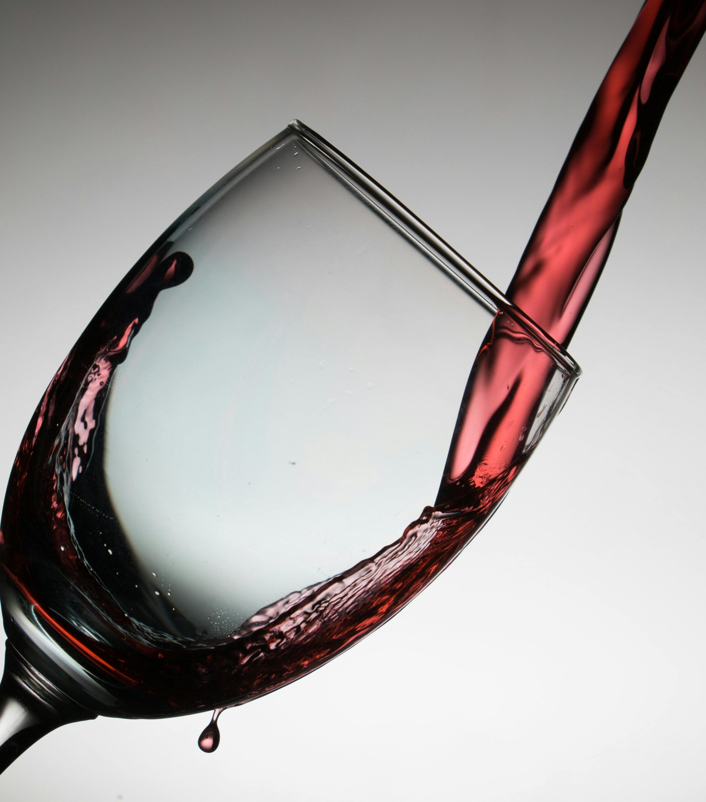 Descubre el mundo del vino, una experiencia para los sentidos